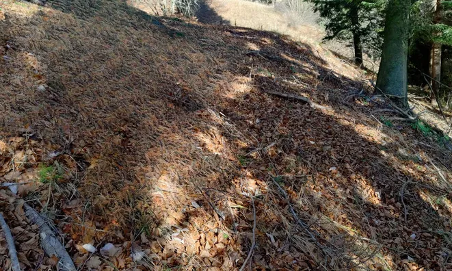 Недвижимость Сельскохозяйственный участок Сподне Горье: 2