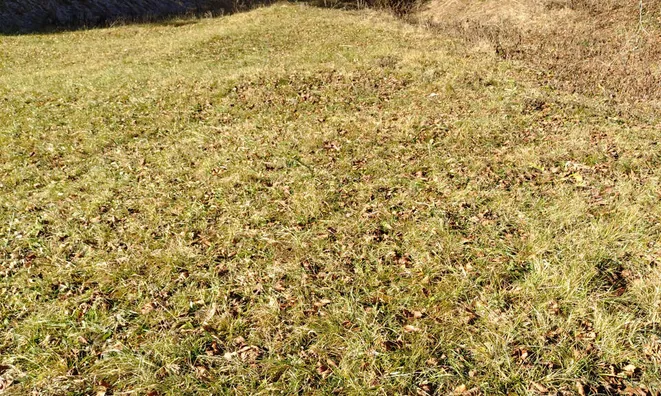 Недвижимость Сельскохозяйственный участок Сподне Горье: 3