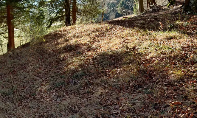 Недвижимость Сельскохозяйственный участок Сподне Горье: 4