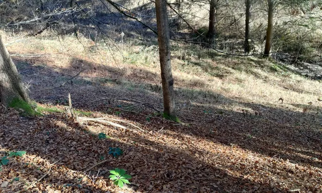 Недвижимость Сельскохозяйственный участок Сподне Горье: 5