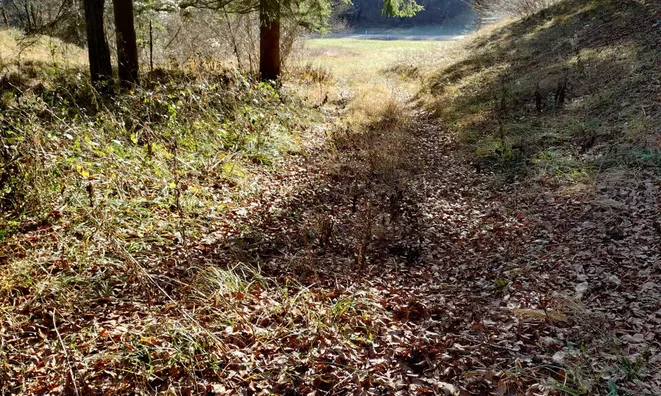 Недвижимость Сельскохозяйственный участок Сподне Горье: 8