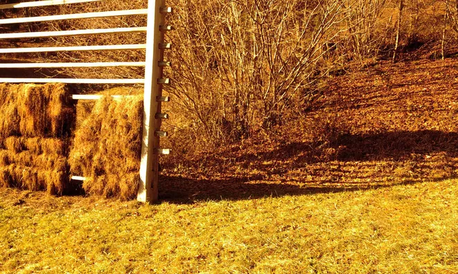 Недвижимость Сельскохозяйственный участок Сподне Горье: 9