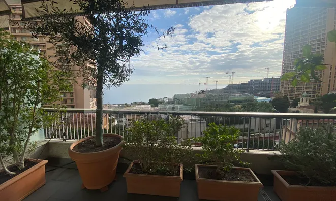 Недвижимость Apartment Monaco, Jardin Exotique: 1