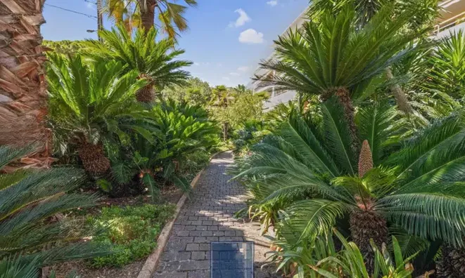 Недвижимость Villa Cannes: 11