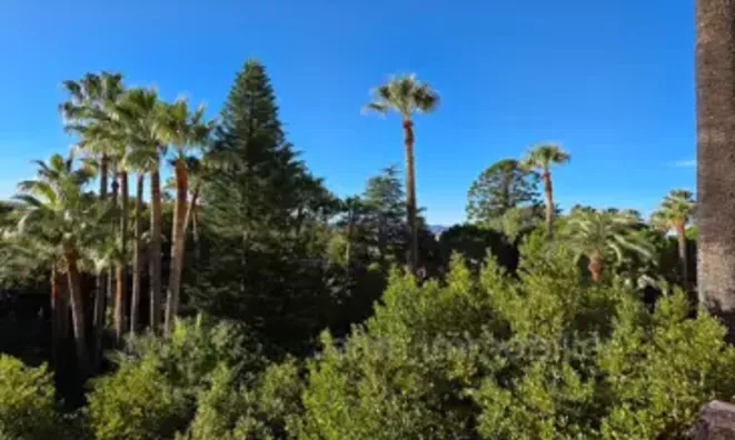 Недвижимость Villa Cannes: 3