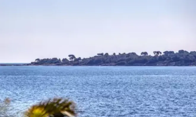 Недвижимость Residence Cannes Centre: 2