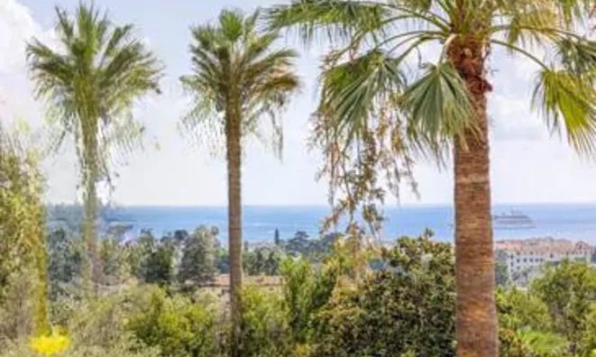 Недвижимость Villa Cannes: 12