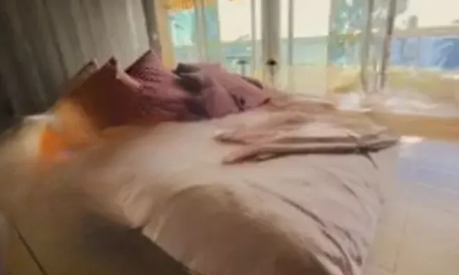 Недвижимость Villa Cannes La Bocca: 3