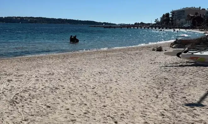 Недвижимость Villa Pointe Croisette: 1