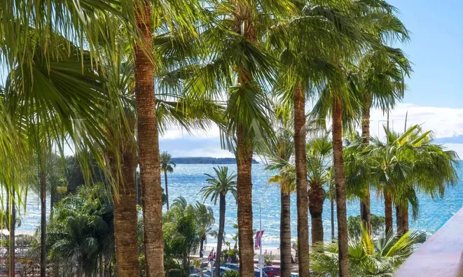 Недвижимость Villa Centre-ville Cannes: 17