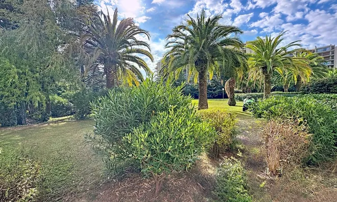 Недвижимость Villa Mandelieu: 13