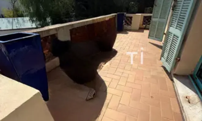 Недвижимость Villa Cannes: 15