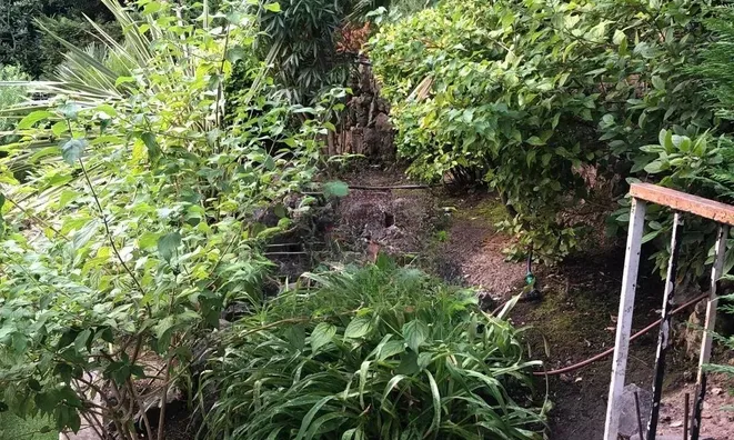 Недвижимость Villa Cannes Californie: 16