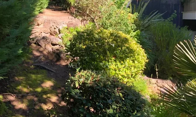 Недвижимость Villa Cannes Californie: 17