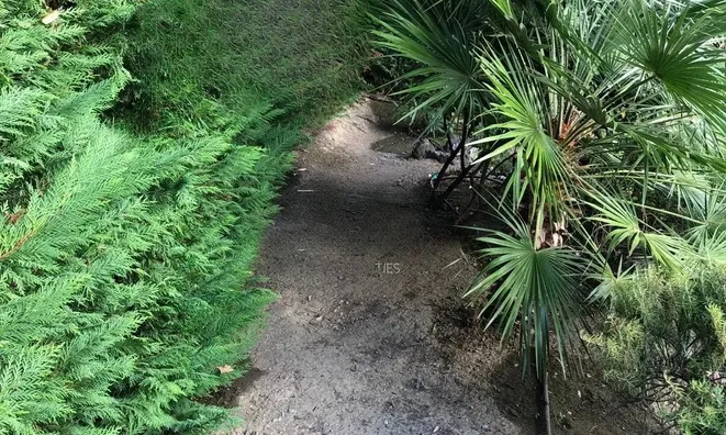 Недвижимость Villa Cannes Californie: 18