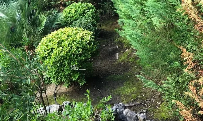 Недвижимость Villa Cannes Californie: 19