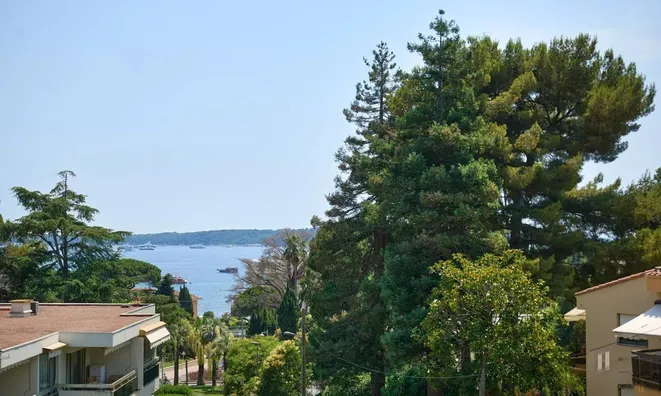 Недвижимость Villa Pointe Croisette: 7