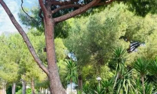 Недвижимость Villa Cannes Suquet: 6