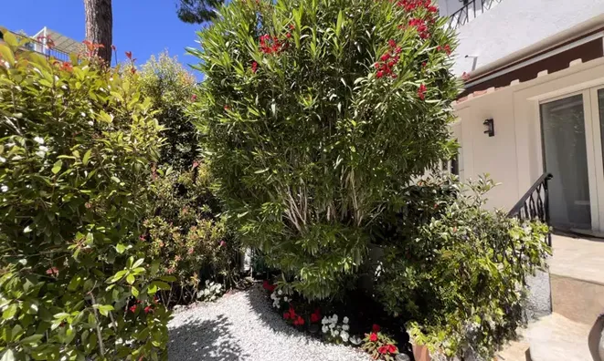 Недвижимость Villa Cannes: 22