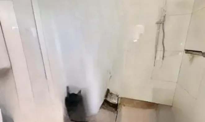 Недвижимость Villa Cannes République: 5