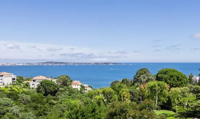 Недвижимость Home Cannes: 1