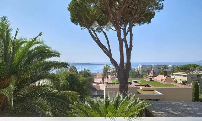Недвижимость Villa Cannes Californie: 19