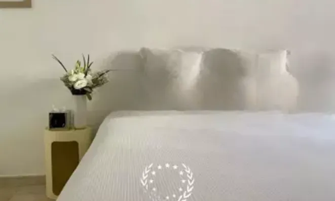 Недвижимость Villa Cannes Centre-ville: 12