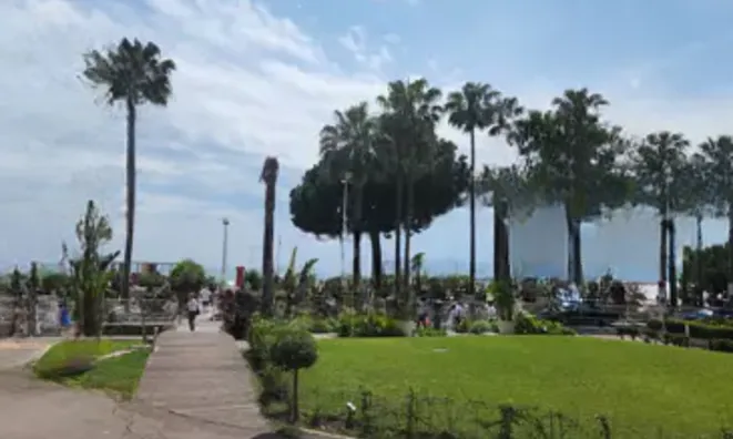 Недвижимость Villa Cannes: 2