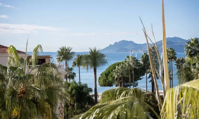 Недвижимость Villa Cannes: 17