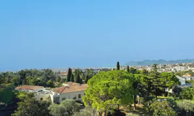 Недвижимость Villa Cannes Carnot: 2