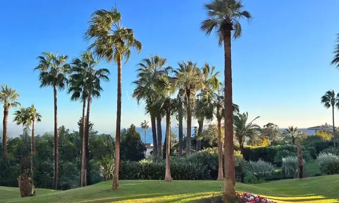 Недвижимость Villa Cannes Californie: 1