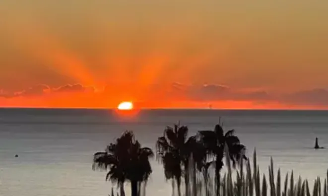 Недвижимость Villa Cannes Californie: 17