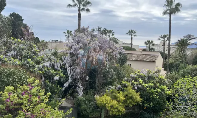 Недвижимость Villa Cannes: 7