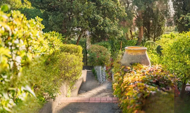 Недвижимость Villa Cannes Calfornia: 21