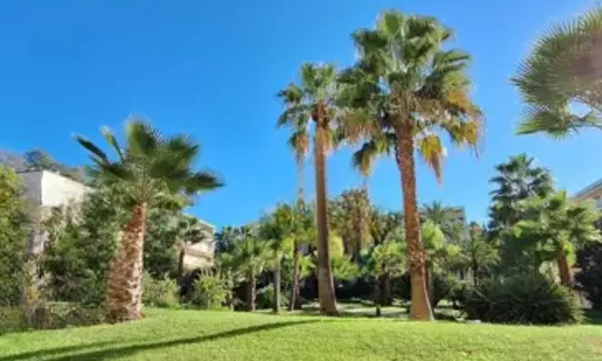 Недвижимость House Cannes Californie: 2