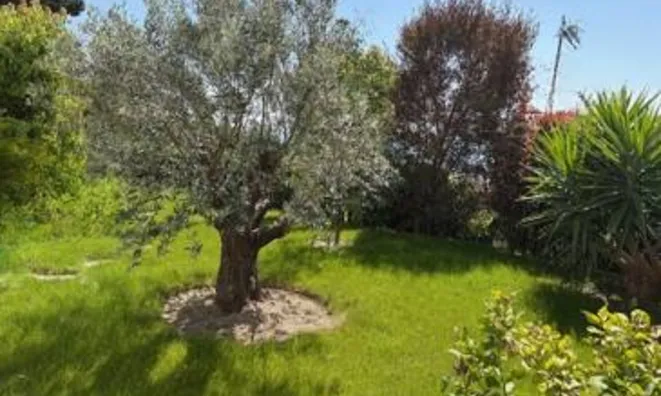 Недвижимость House Cannes: 13