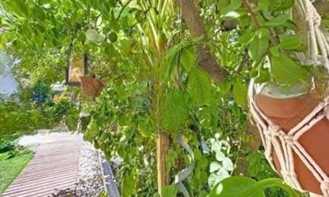 Недвижимость Villa Cannes: 6