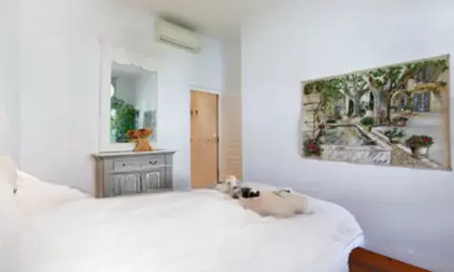 Недвижимость Villa Cannes Centre-ville: 8