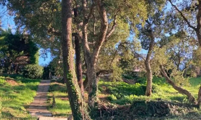 Недвижимость Villa Cannes: 4