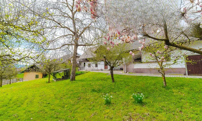 Недвижимость Земельный участок, Бегуне-на-Горенськем.: 5