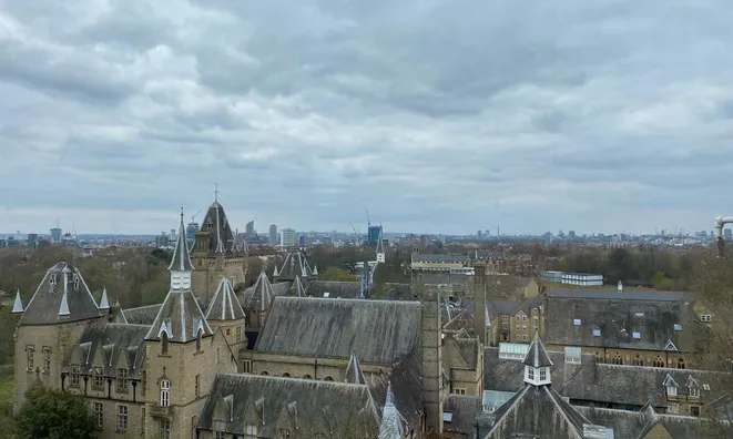 Недвижимость Fitzhugh Grove, Wandsworth: 6