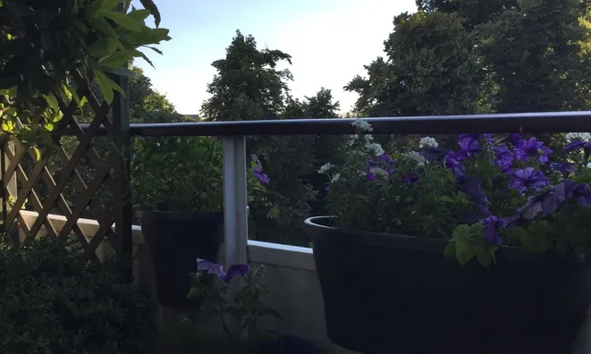 Недвижимость Fitzhugh Grove, Wandsworth: 7