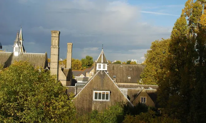 Недвижимость Fitzhugh Grove, Wandsworth: 8