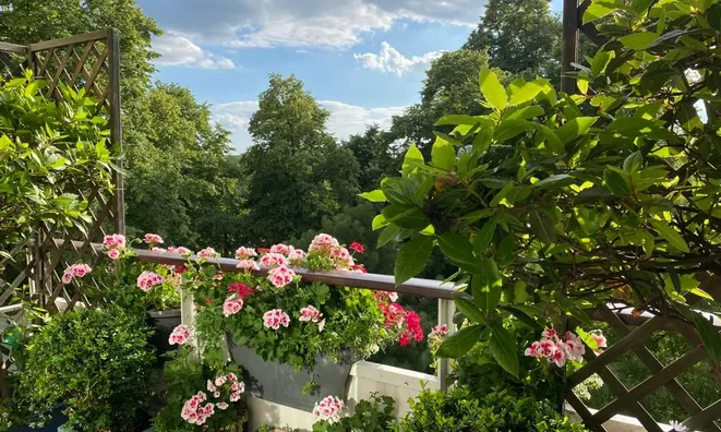 Недвижимость Fitzhugh Grove, Wandsworth: 16