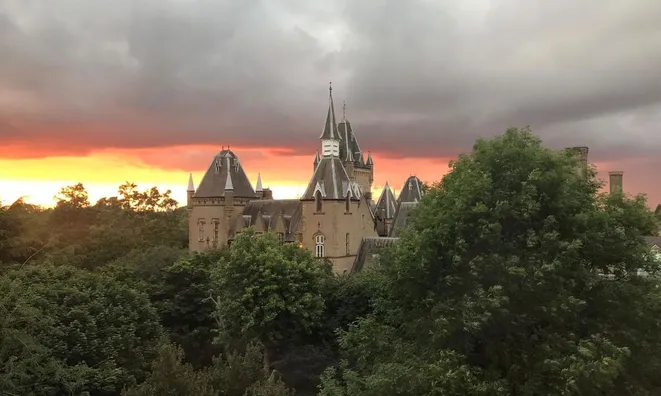 Недвижимость Fitzhugh Grove, Wandsworth: 18