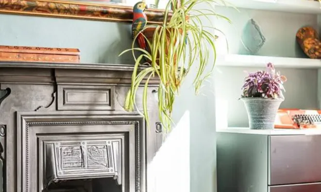 Недвижимость Amelia Street: 10