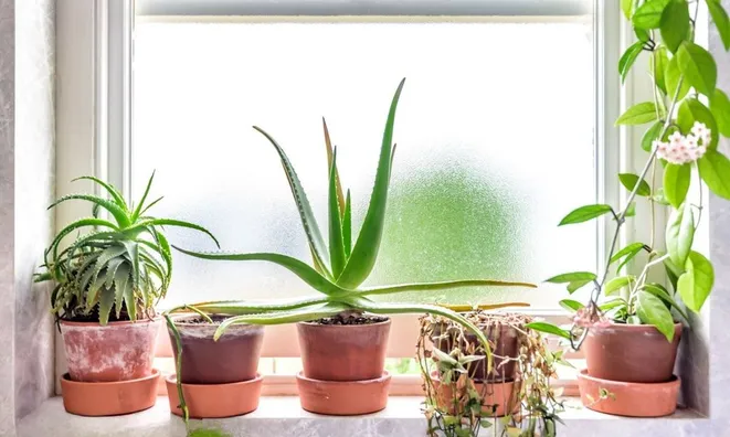 Недвижимость Jeffreys Road, Clapham: 1