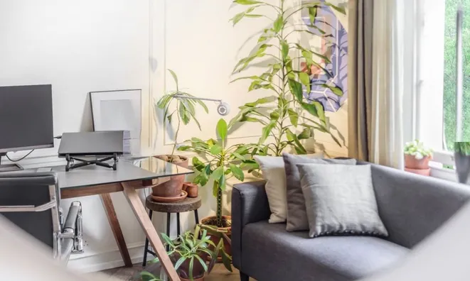 Недвижимость Jeffreys Road, Clapham: 21