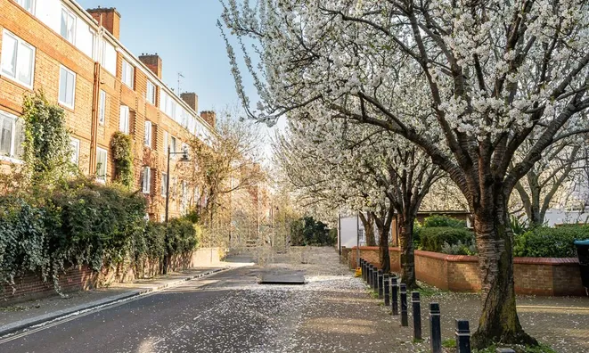 Недвижимость Cherry Garden Street: 5