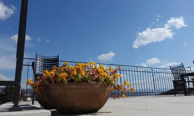 Недвижимость Четырехкомнатная квартира  
: 2